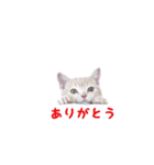 ミルくんスタンプ（個別スタンプ：1）