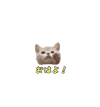 ミルくんスタンプ（個別スタンプ：6）