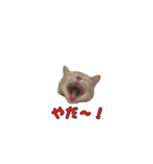 ミルくんスタンプ（個別スタンプ：8）