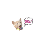 ミルくんスタンプ（個別スタンプ：9）