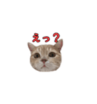ミルくんスタンプ（個別スタンプ：11）