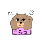 たれ目犬ポンポン（個別スタンプ：13）