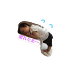 R i O 2（個別スタンプ：4）