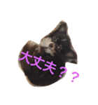 Mirくん（個別スタンプ：12）