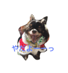 Mirくん（個別スタンプ：24）