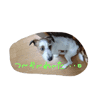りあん（個別スタンプ：8）