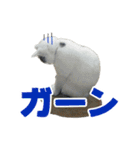 にゃんこときどきわんこ（個別スタンプ：15）