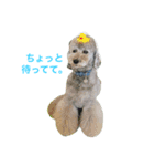 りぶらふ 1（個別スタンプ：1）