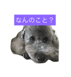 りぶらふ 1（個別スタンプ：4）