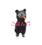 りぶらふ 1（個別スタンプ：5）