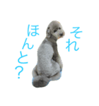 りぶらふ 1（個別スタンプ：6）