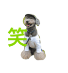 りぶらふ 1（個別スタンプ：8）