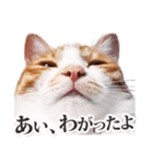 茨城弁のボスさん（個別スタンプ：1）