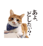 茨城弁のボスさん（個別スタンプ：2）