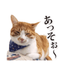 茨城弁のボスさん（個別スタンプ：3）