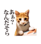茨城弁のボスさん（個別スタンプ：6）