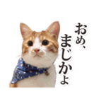 茨城弁のボスさん（個別スタンプ：9）