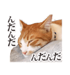 茨城弁のボスさん（個別スタンプ：12）