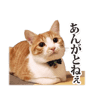 茨城弁のボスさん（個別スタンプ：13）