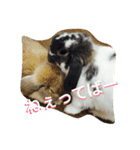 ウサギのスタンプシール（個別スタンプ：6）