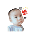 Weiwei ＆ Chen Chen（個別スタンプ：29）