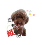 Weiwei ＆ Chen Chen（個別スタンプ：30）