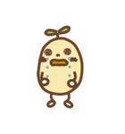 まめ吉（個別スタンプ：37）