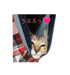 しょう＆ルナ（個別スタンプ：23）