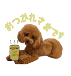 わいわい 愉快なわんちゃんず（個別スタンプ：1）