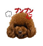 わいわい 愉快なわんちゃんず（個別スタンプ：6）