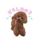 わいわい 愉快なわんちゃんず（個別スタンプ：14）