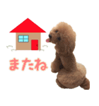 わいわい 愉快なわんちゃんず（個別スタンプ：18）
