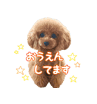 わいわい 愉快なわんちゃんず（個別スタンプ：20）