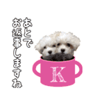わいわい 愉快なわんちゃんず（個別スタンプ：21）