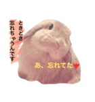 わがまま「ばにちゃん」（個別スタンプ：2）