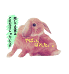 わがまま「ばにちゃん」（個別スタンプ：4）