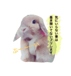 わがまま「ばにちゃん」（個別スタンプ：5）