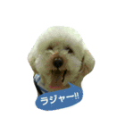 GO！ GO！ 龍ちゃんⅡ（個別スタンプ：2）