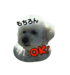 GO！ GO！ 龍ちゃんⅡ（個別スタンプ：3）