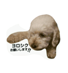 GO！ GO！ 龍ちゃんⅡ（個別スタンプ：10）