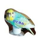 ラムネたん2（個別スタンプ：3）