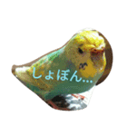 ラムネたん2（個別スタンプ：6）