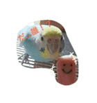 ラムネたん2（個別スタンプ：12）