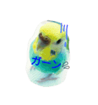 ラムネたん2（個別スタンプ：15）