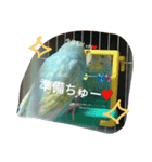 ラムネたん2（個別スタンプ：16）