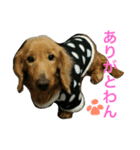 佐藤ちーちゃん（個別スタンプ：8）