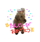 うちのまっくす（個別スタンプ：9）