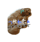 うちのまっくす（個別スタンプ：10）