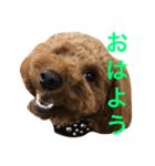 パン屋のパンくん（個別スタンプ：1）