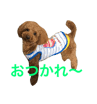 パン屋のパンくん（個別スタンプ：2）